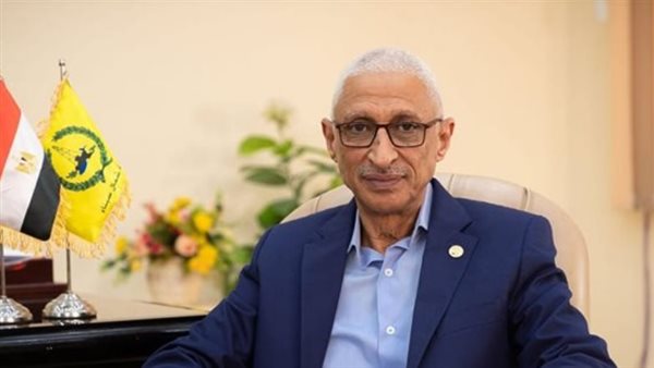 موقف مصر من غزة يعكس سيادة كاملة ورؤية متزنة لحماية الأمن الإقليمي