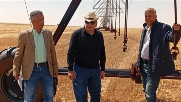 نحو الاكتفاء الذاتي.. وفد علمي يتفقد حصاد القمح وتوطين التقاوي بالوادي الجديد