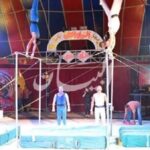 نزيف بالمخ.. تدهور حالة الطفلة ضحية هجوم شبل لوبا الحلو داخل السيرك القومي