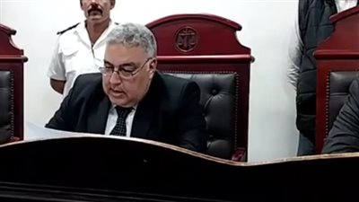 نهاية مأساوية.. الإعدام لربة منزل أنهت حياة رضيعتها داخل دولاب بالبحيرة