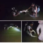 هروب جماعي من ”الموت” في مأرب! قرار عاجل يغلق بحيرة السد فوراً.. والمخالف سيدفع الثمن باهظاً!