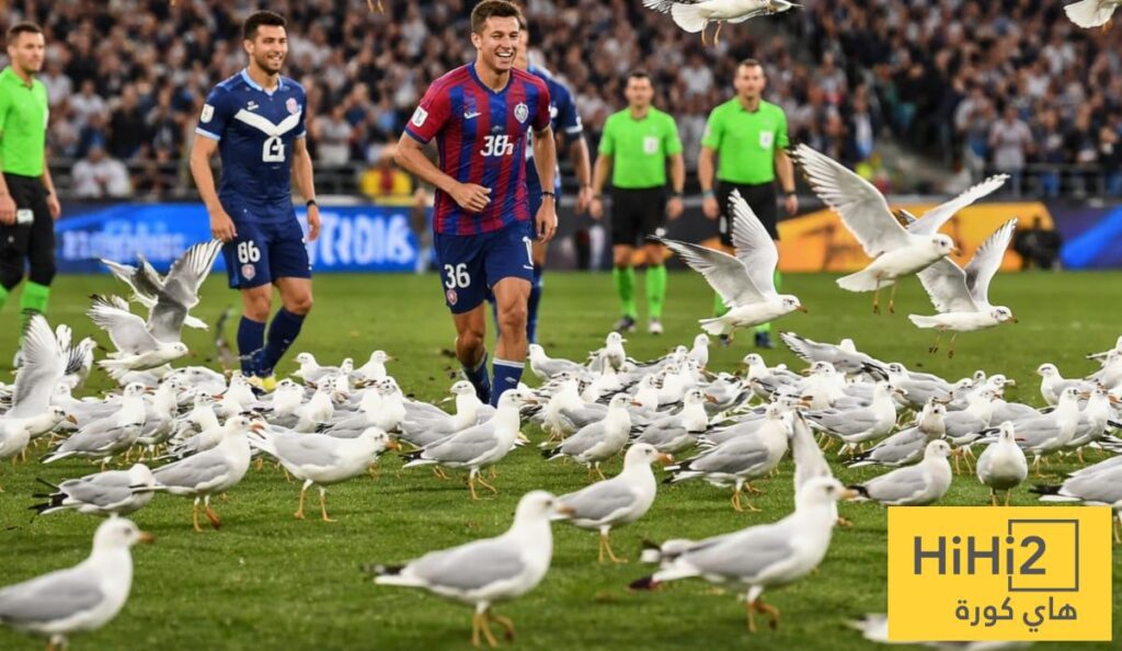 واقعة طريفة.. طيور النورس تقتحم ملعب مباراة بالدوري الأسترالي