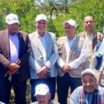 ورشة عمل لتعزيز نظم الري الحديث ورفع إنتاجية الرمان بالتعاون مع «الفاو»