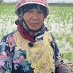 ولادها اتجوزوا وسابوها ٠٠ حكاية 40 سنة كفاح لامرأة وسط الحقول