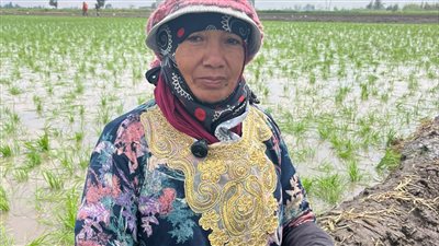 ولادها اتجوزوا وسابوها ٠٠ حكاية 40 سنة كفاح لامرأة وسط الحقول