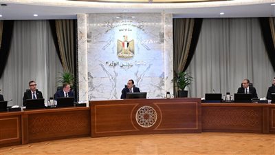 رئيس الوزراء يترأس اجتماع المجموعة الوزارية الاقتصادية- نبض مصر
