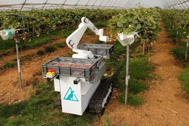 «Egrobots» تدشن أول روبوت زراعي ذاتي للحصاد بتكنولوجيا مصرية بالكامل
