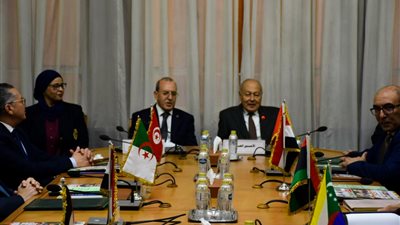 أبو الغيط يترأس اجتماع مجلس إدارة الصندوق العربي للمعونة الفنية للدول الإفريقية- نبض مصر