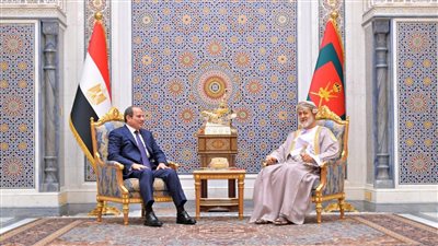 أمن الدول العربية جزء لا يتجزأ من الأمن القومي المصري- نبض مصر
