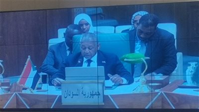 إثيوبيا لا تستهدف الأمن المائي العربي فحسب وإنما أمننا القومي بكافة أشكاله
