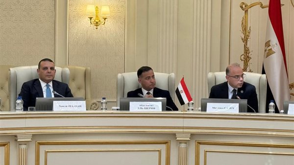 إرادة سياسية قوية لتحويل التعاون مع بيلاروسيا إلى شراكة صناعية متكاملة- نبض مصر