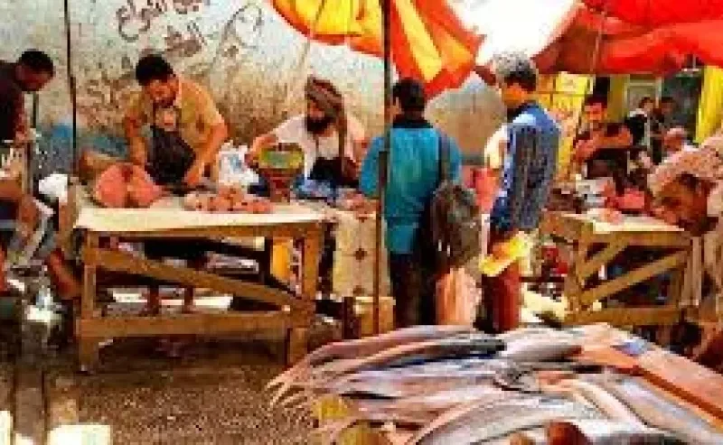 احتكار وأسماك فاسدة.. مواطنون ومطاعم بتعز يشتكون من ممارسات في سوق الأسماك- نبض مصر