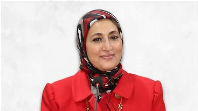 «اقتراح برلماني» يطالب بإدخال التربية الإعلامية للمناهج.. ومناقشته الثلاثاء