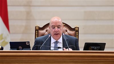البرلمان يوافق نهائيا على حساب ختامي موازنة 2024/ 2025- نبض مصر