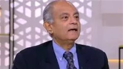 التحركات الدبلوماسية المصرية تتسم برؤية ثاقبة وبعيدة النظر- نبض مصر