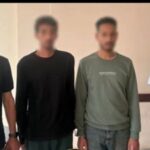 التصالح أنهى الخلاف.. إخلاء سبيل طرفي مشاجرة زفة وصلة دهشور