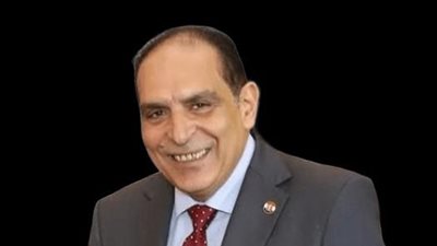 التوسع في المناطق الحرة يعزز التجارة الدولية ويحفز جذب الاستثمارات- نبض مصر