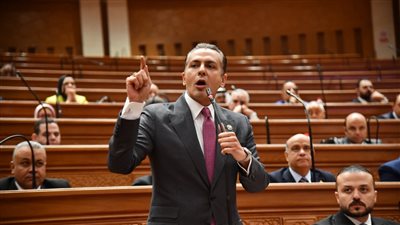 الحساب الختامي فاتورة يتم دفعها لمواقف اتخذتها الدولة المصرية وفاتورة لبناء دولة- نبض مصر