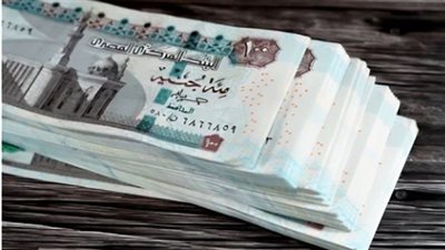 الحكومة تزف بشرى سارة للعاملين بالدولة قبل عيد الأضحى المبارك