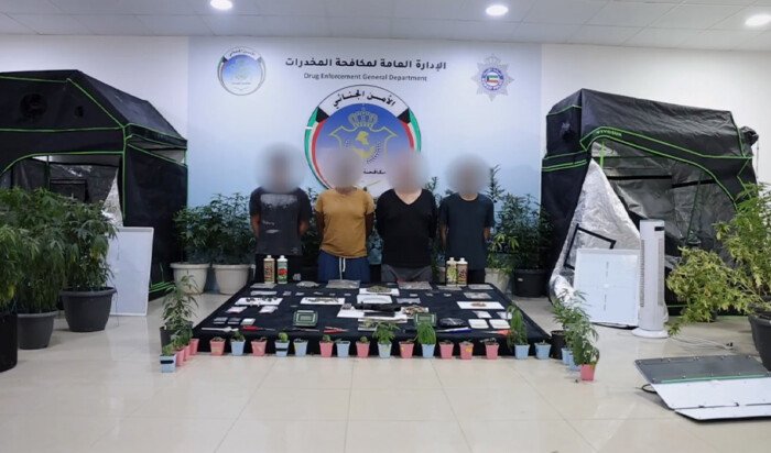 «الداخلية الكويتية»: ضبط مزرعة «ماريغوانا» و4 مواطنين متورطين في حيازة وزراعة مواد مخدّرة- نبض مصر