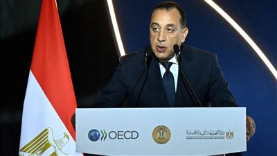 الدولة تُواصل جهودها لبناء بيئة أكثر تنافسية وجاذبية للاستثمار الخاص المحلي والأجنبي- نبض مصر
