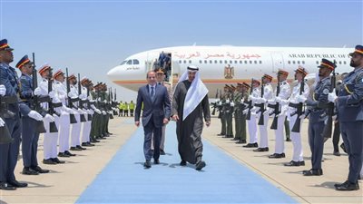 الرئيس السيسي يجري زيارة إلى دولة الإمارات .. تفاصيل- نبض مصر