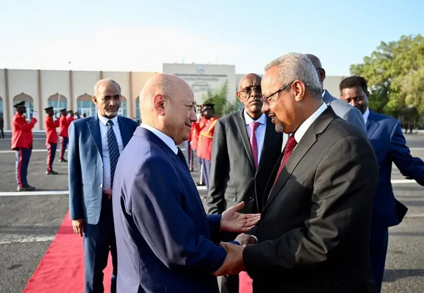 الرئيس العليمي يختتم زيارته إلى جيبوتي بعد سلسلة مباحثات مع قادة المنطقة- نبض مصر