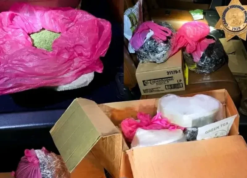 السلطات الأمريكية توقف مواطنًا يمنيًا تمهيدًا لترحيله بعد ضبطه بحوزة نبتة القات في كاليفورنيا- نبض مصر