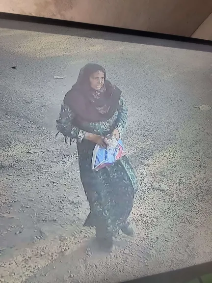 المرأة المفقودة