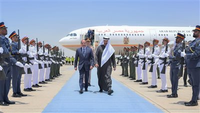 العلاقات المصرية الإماراتية.. نموذج فريد للتعاون الراسخ- نبض مصر