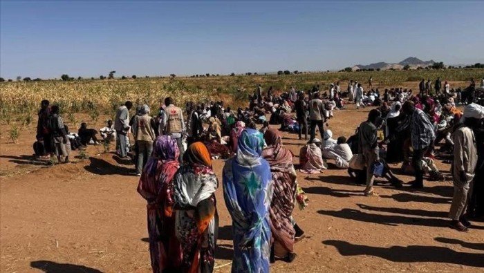 المنظمة الدولية للهجرة: السودان يشهد عودة متزايدة للنازحين واللاجئين إلى مناطقهم الأصلية- نبض مصر