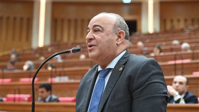 الموازنة تحولت من إدارة موارد إلى إدارة دين- نبض مصر