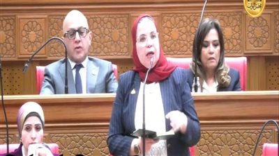 النائبة أمل عصفور تؤكد أهمية إعادة توجيه الاستثمارات العامة نحو قطاعات الإنتاج وعلى رأسها الصناعة والزراعة والصناعات التكنولوجية- نبض مصر