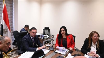 النائبة شذا حبيب تفتح ملف “الكيانات الشبابية” تحت قبة البرلمان- نبض مصر