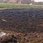 النيران تلتهم محصول قمح عدد من الأراضي الزراعية بالشرقية