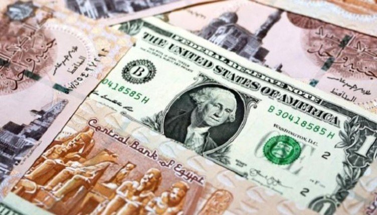 انتكاسه جديدة للجنيه.. سعر الدولار في مصر اليوم الخميس 14مايو 2026- نبض مصر