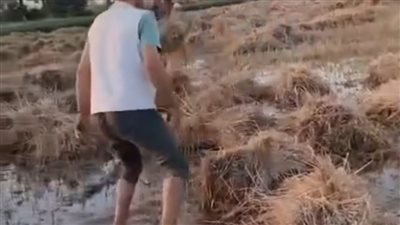 انفجار خط مياه يُغرق أرض قمح في “هواه – المقطع” ويقضي على موسم زراعي كامل