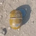 تعبيرية