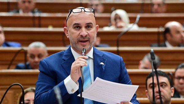 برلمانية الشعب الجمهوري تثمن جهود الدولة في مواجهة التداعيات العالمية والتعامل معها بكفاءة- نبض مصر