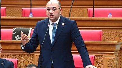 برلمانية حماة الوطن تتقدم بمشروعي قانون للأحوال الشخصية والتأهيل الأسري