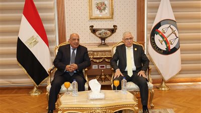 بناء القدرات وتنمية المهارات لمواكبة التطورات والارتقاء بجودة الخدمات- نبض مصر