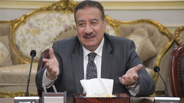 بورسعيد تفرض الانضباط الميداني وتحكم قبضتها على الشارع.. حملات مكبرة لاستعادة المظهر الحضاري- نبض مصر