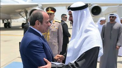 تحالف القاهرة وأبوظبي يهزم مخططات الفوضى- نبض مصر