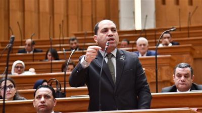 تحرك برلماني لإعادة تنظيم ملف الجبانات.. النائب عمرو درويش ينتهي من إعداد مشروع قانون جديد للمقابر- نبض مصر