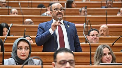 تعديل قانون المعاشات يؤكد اهتمام القيادة السياسية بملف الحماية الاجتماعية- نبض مصر