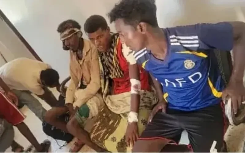 تعذيب وحشي لمهاجرين أفارقة على أيدي عصابات محلية في شبوة- نبض مصر