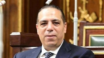 توجيهات السيسي للحكومة تعكس حرصًا حقيقيًا على تعزيز الحماية الاجتماعية وضبط الأسواق- نبض مصر