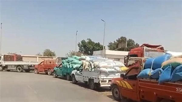 توريد 89 ألف طن قمح للصوامع والشون ببني سويف- نبض مصر