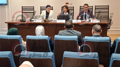 جلسات قريبة لتجريم زواج الأطفال وتعاون مع الإفتاء لتحديث فتوى التحريم- نبض مصر