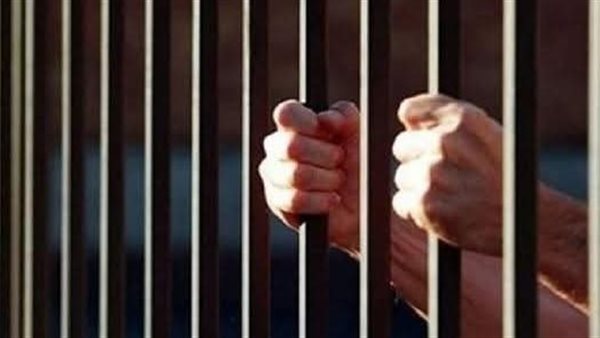 حبس الطالب المتهم بالتعدى على مدرس بكلية الآداب بجامعة دمنهور 15 يوما- نبض مصر